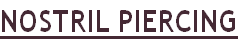NOSTRIL PIERCING